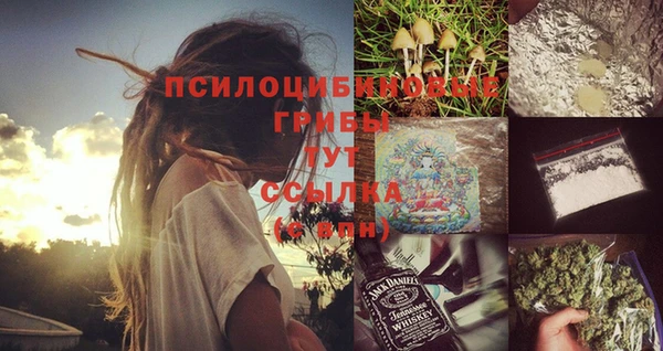 таблы Белокуриха