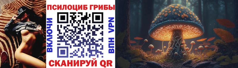 Псилоцибиновые грибы GOLDEN TEACHER  наркотики  Брюховецкая 
